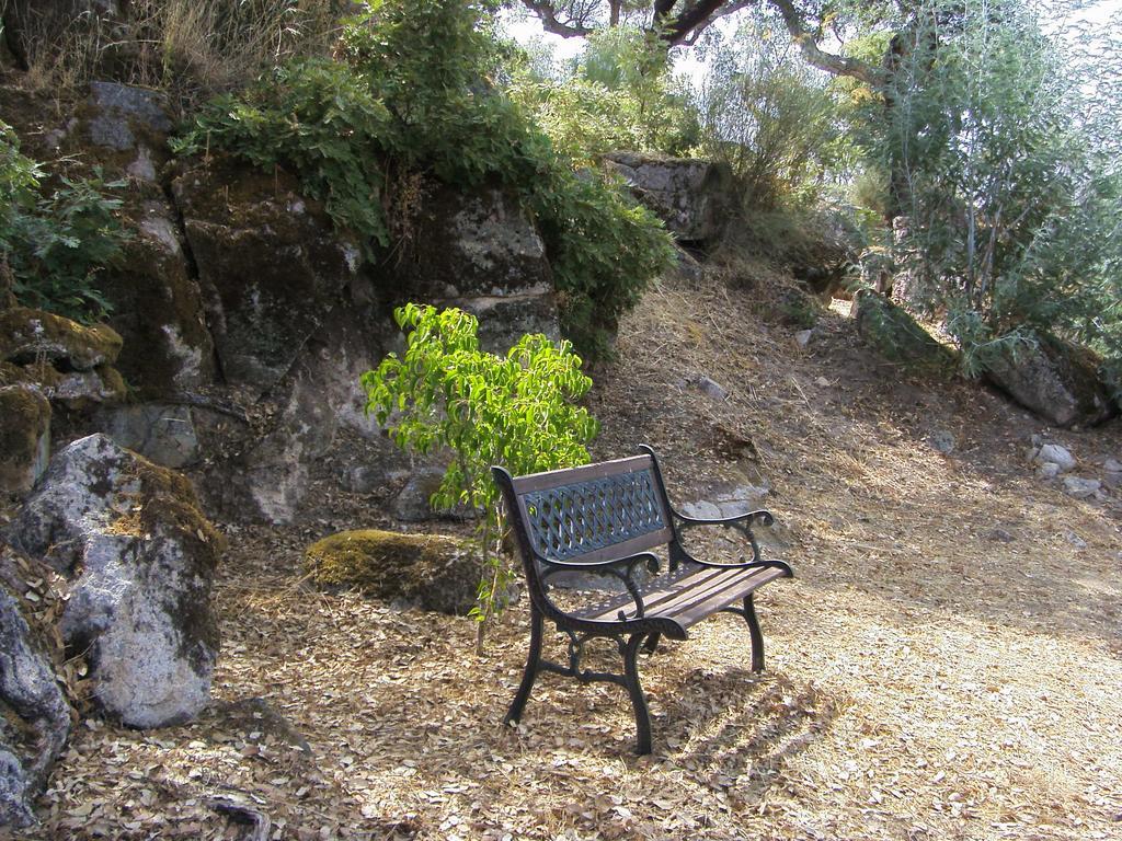 Ferienwohnung Flor Da Ramila Marvão Zimmer foto